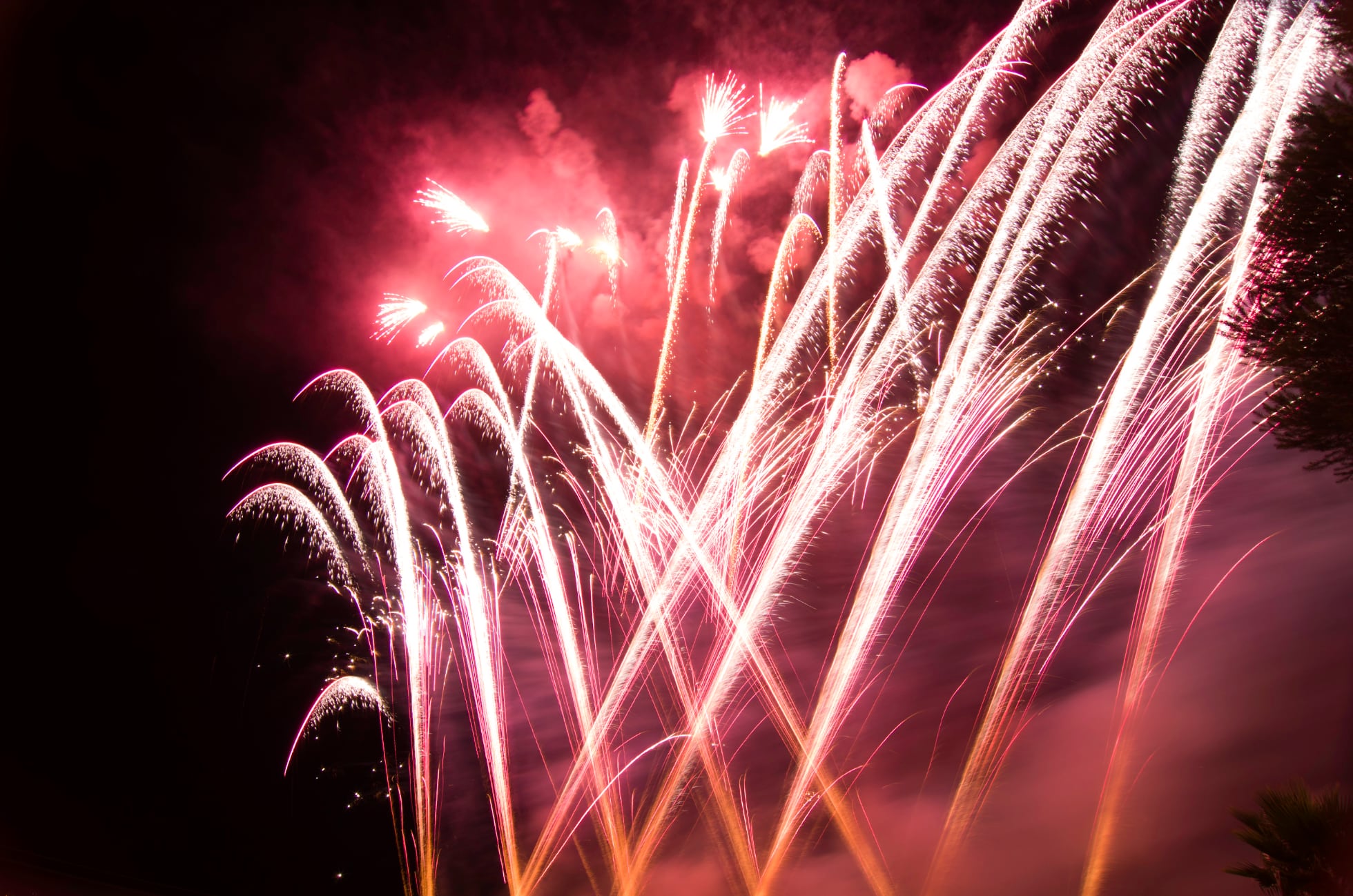shop online fuochi d'artificio